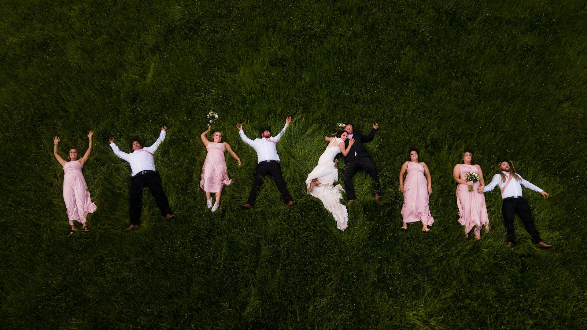 bridal party in the grass